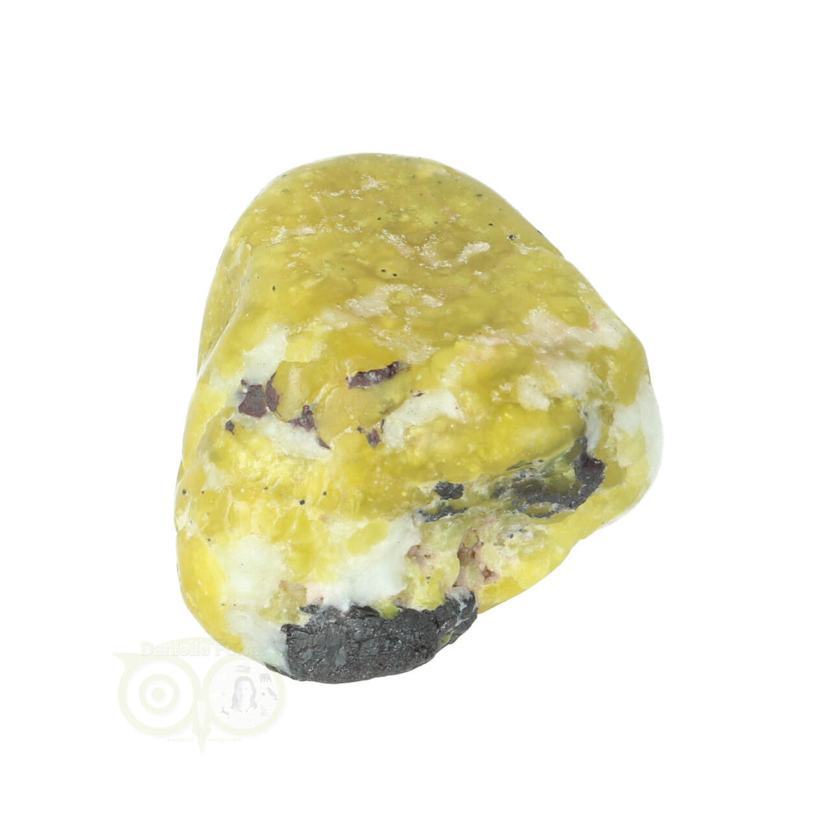 Lizardiet trommelsteen Nr 19