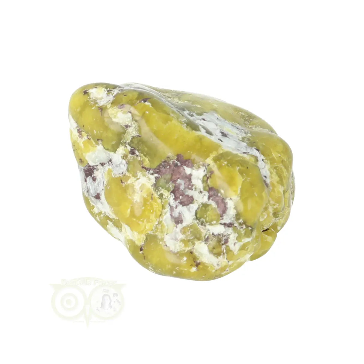 Lizardiet trommelsteen Nr 32