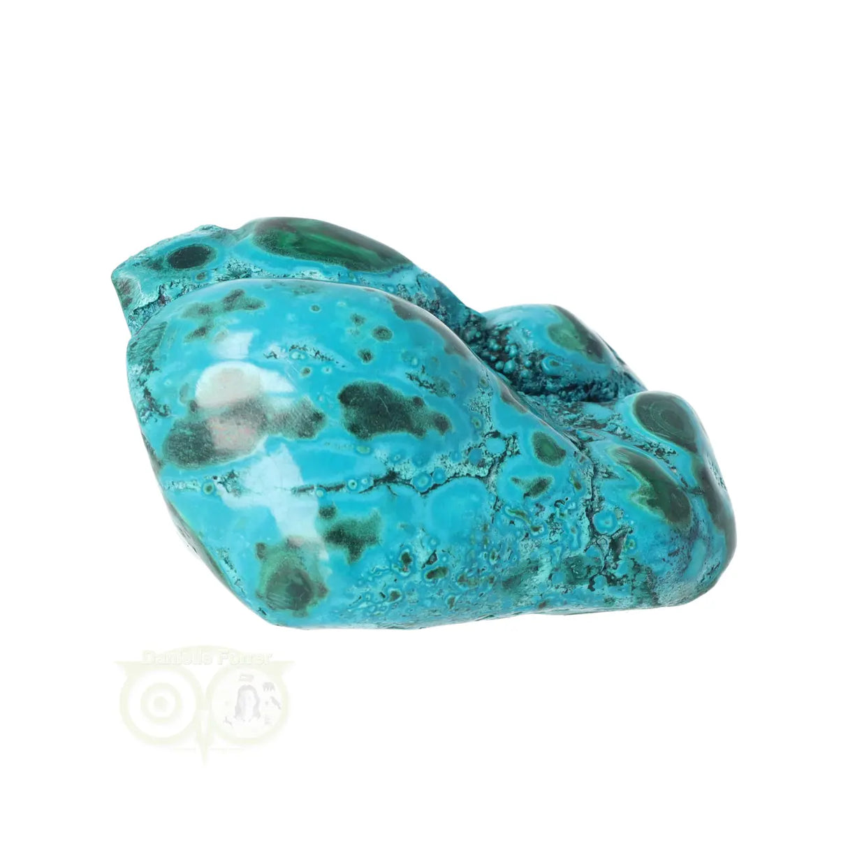 Malacholla free form Nr 11