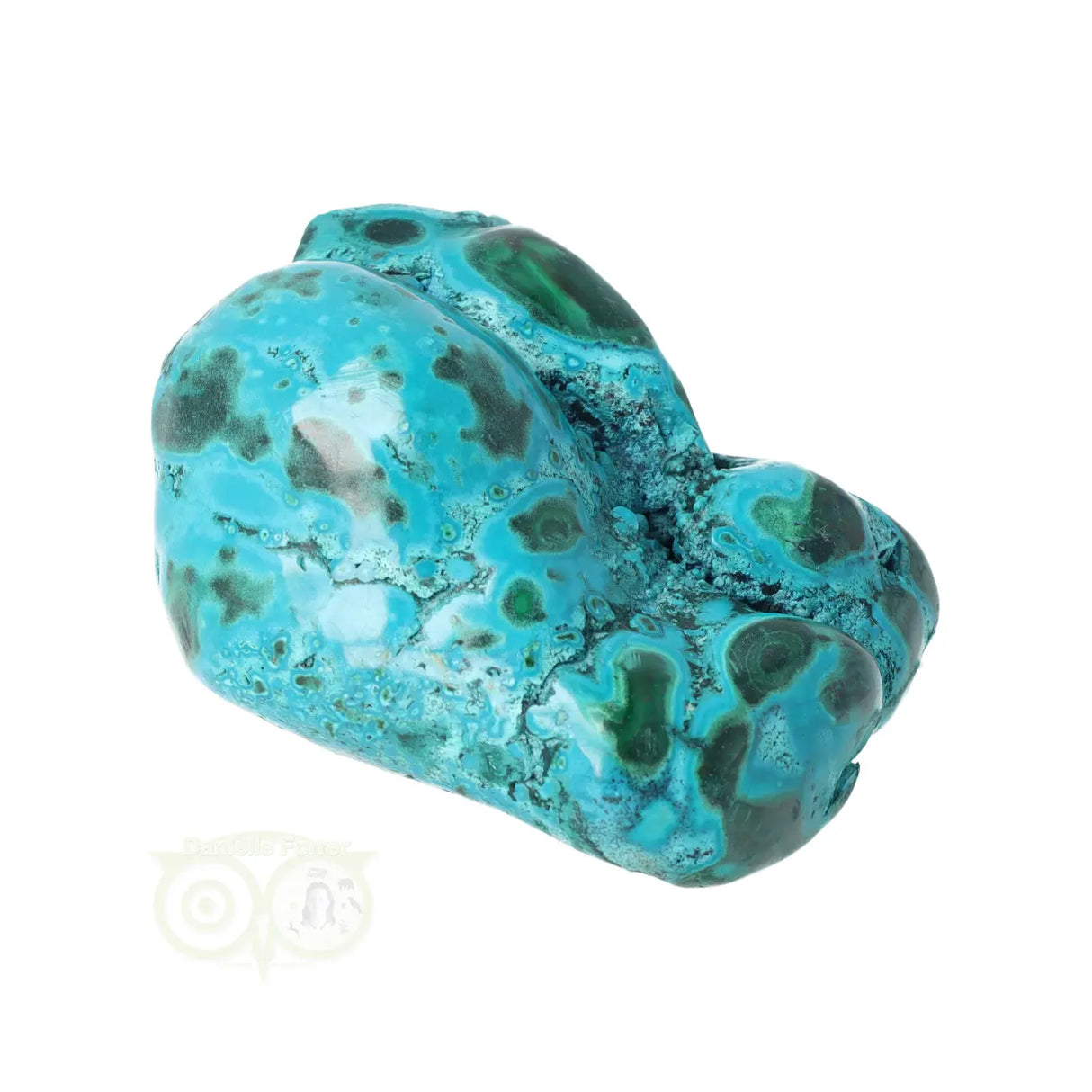 Malacholla free form Nr 11