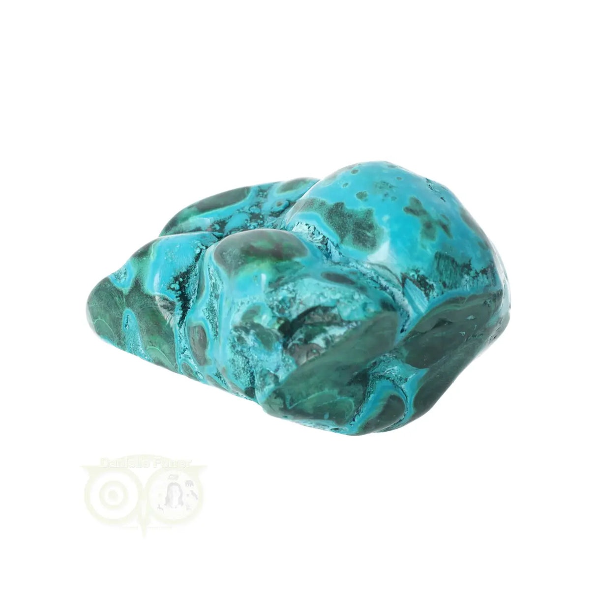 Malacholla free form Nr 11