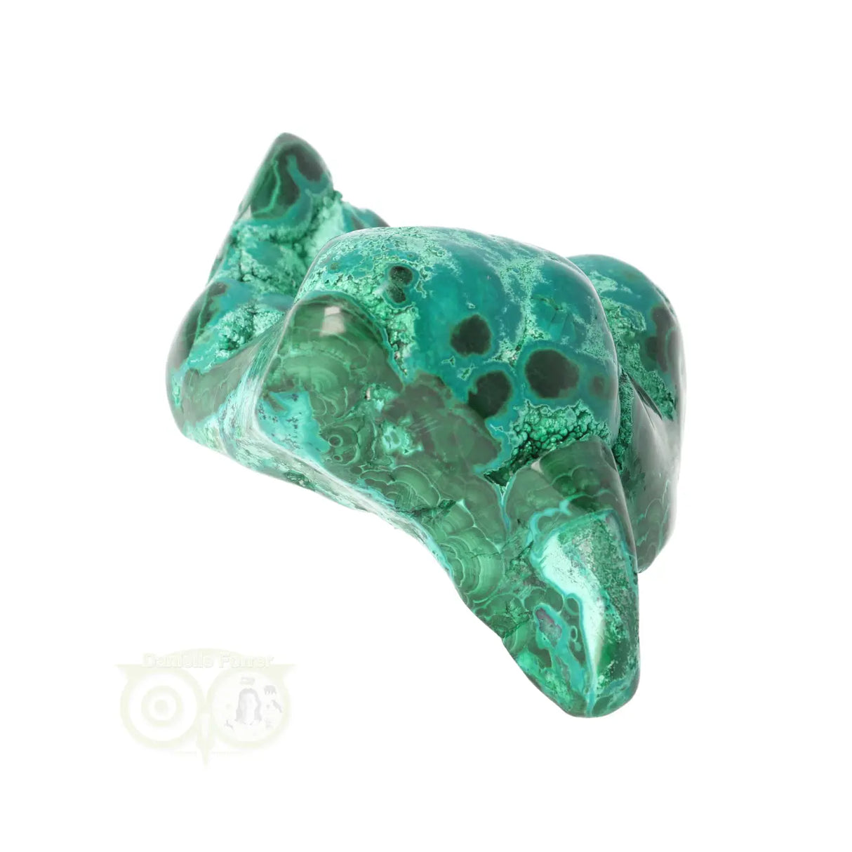 Malacholla free form Nr 20