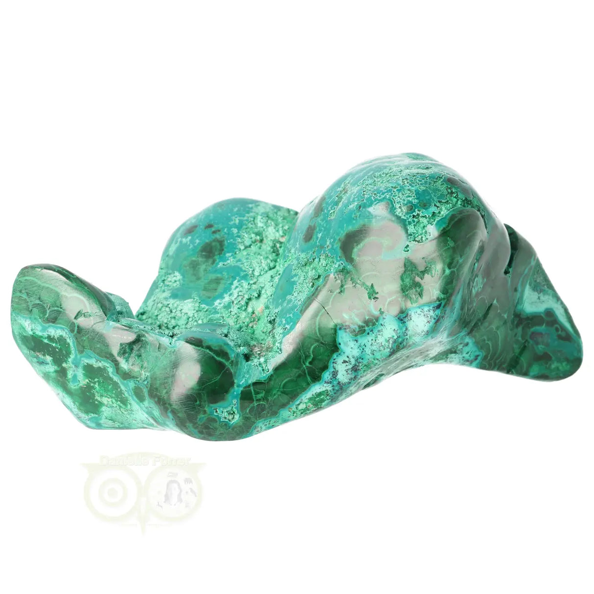 Malacholla free form Nr 20