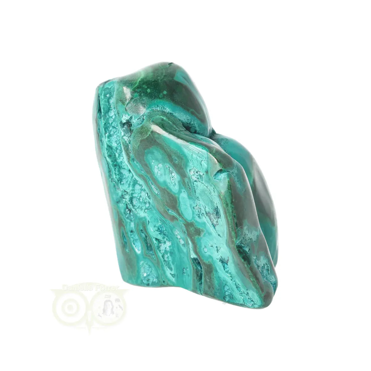 Malacholla free form Nr 21