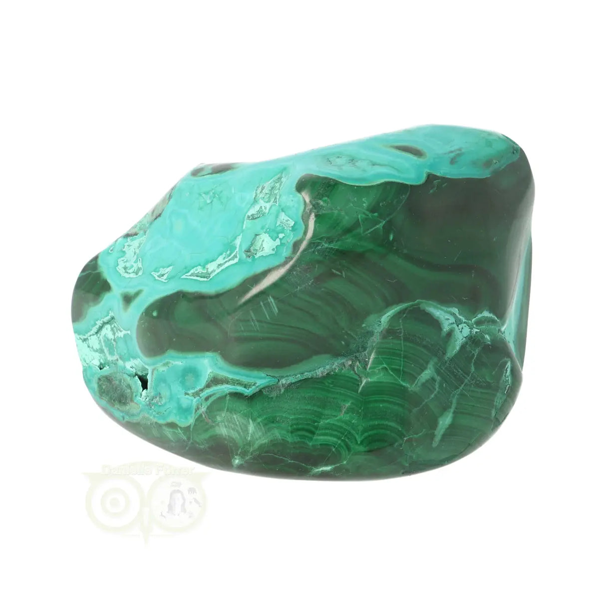 Malacholla free form Nr 22