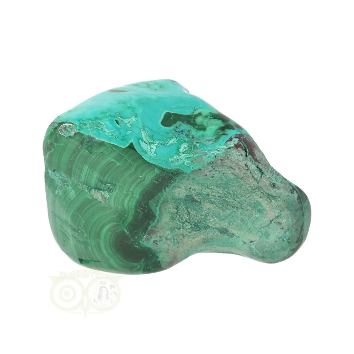 Malacholla free form Nr 22