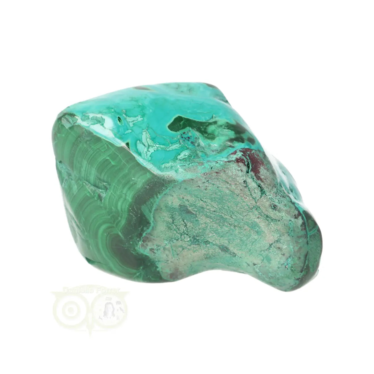 Malacholla free form Nr 22