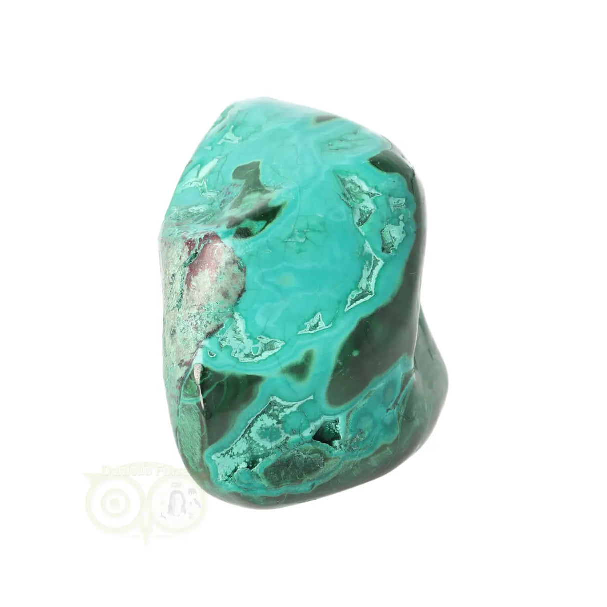 Malacholla free form Nr 22