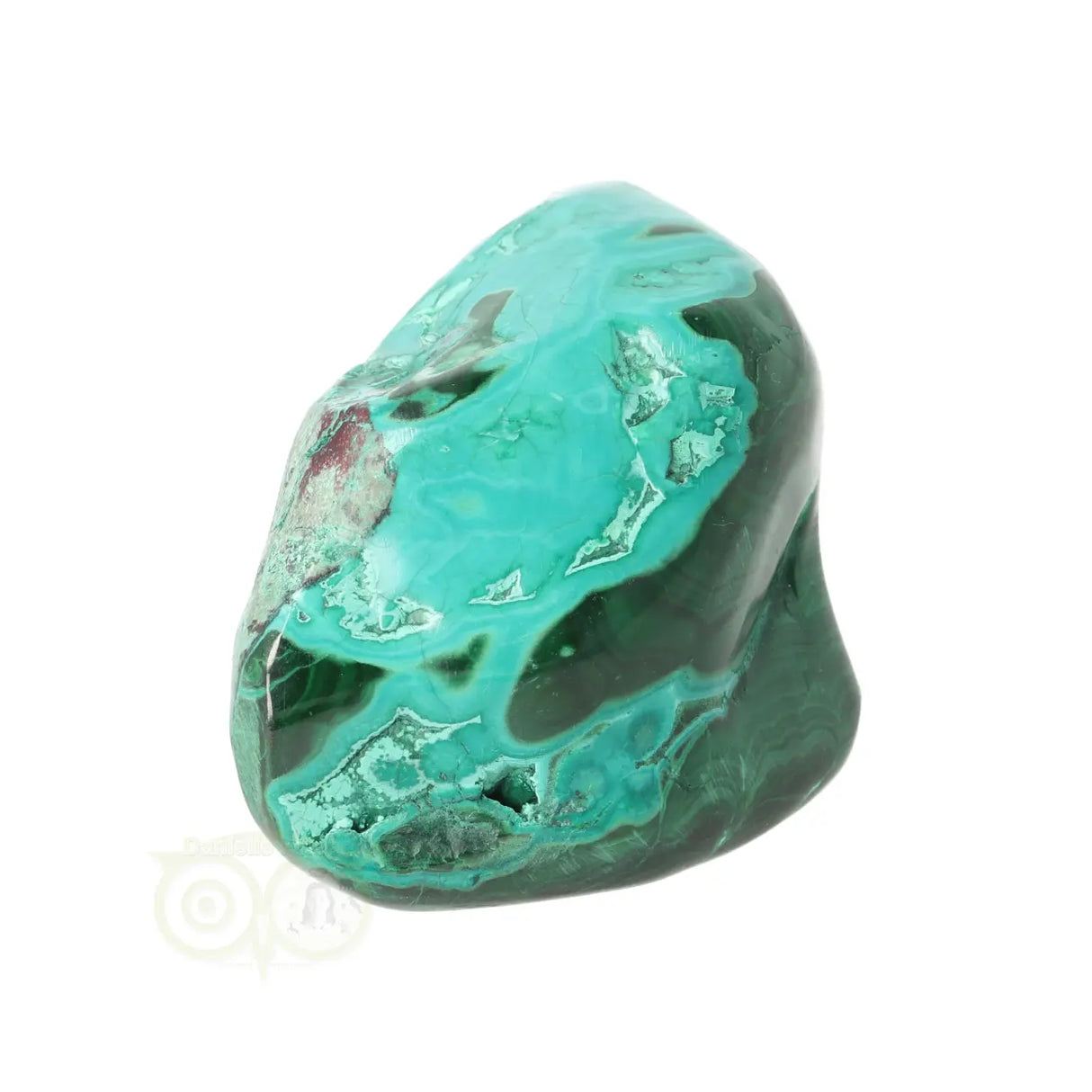 Malacholla free form Nr 22