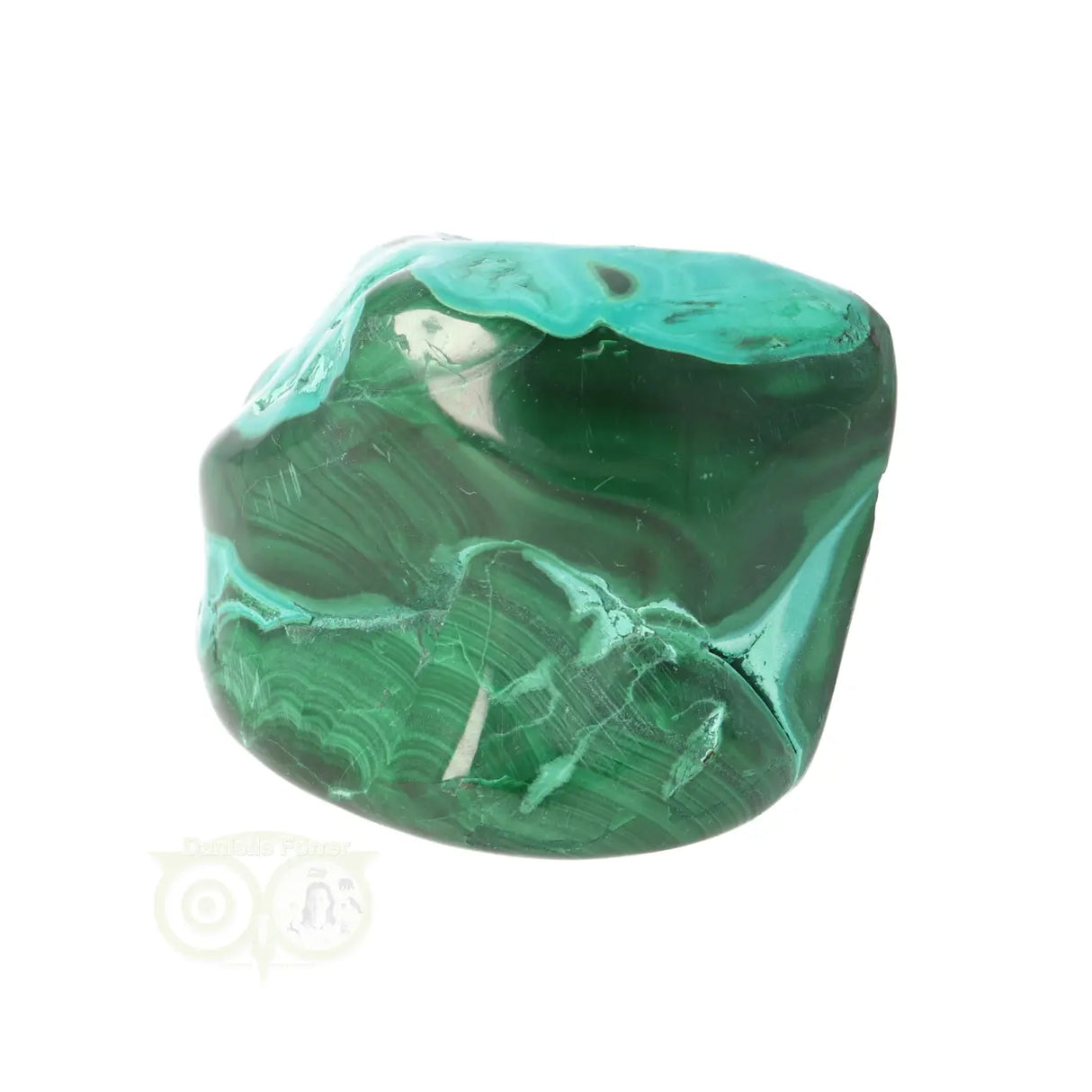 Malacholla free form Nr 22