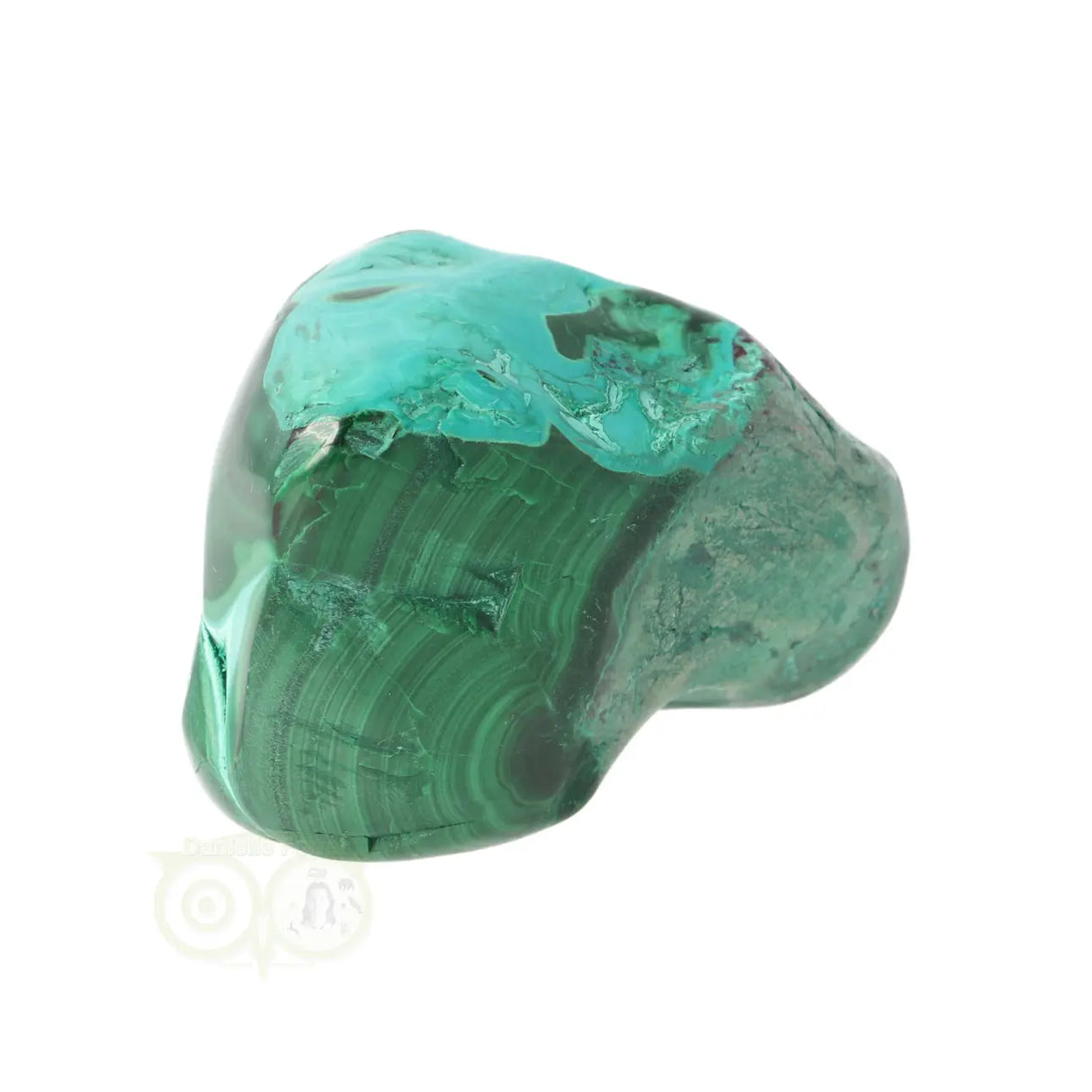 Malacholla free form Nr 22