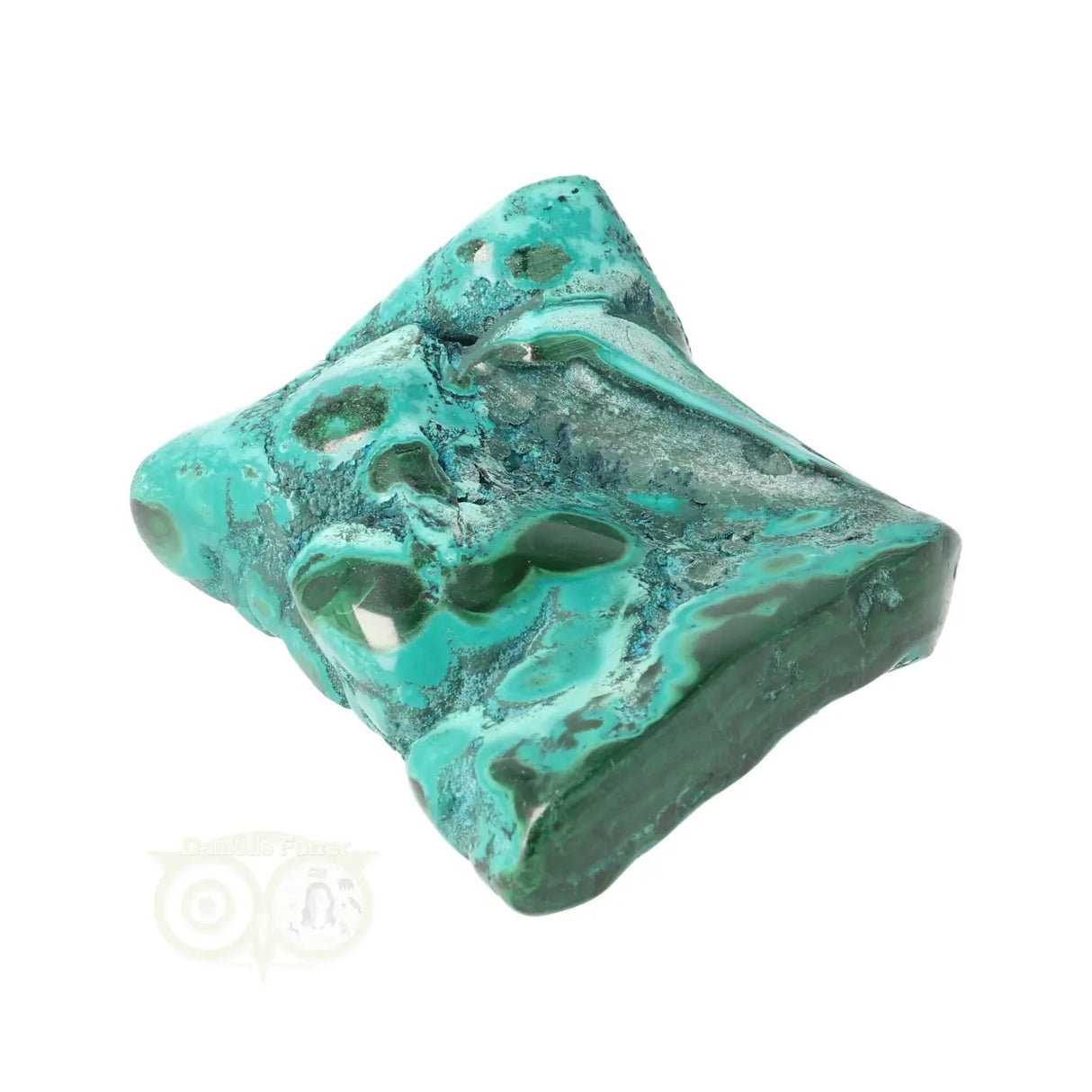 Malacholla free form Nr 23