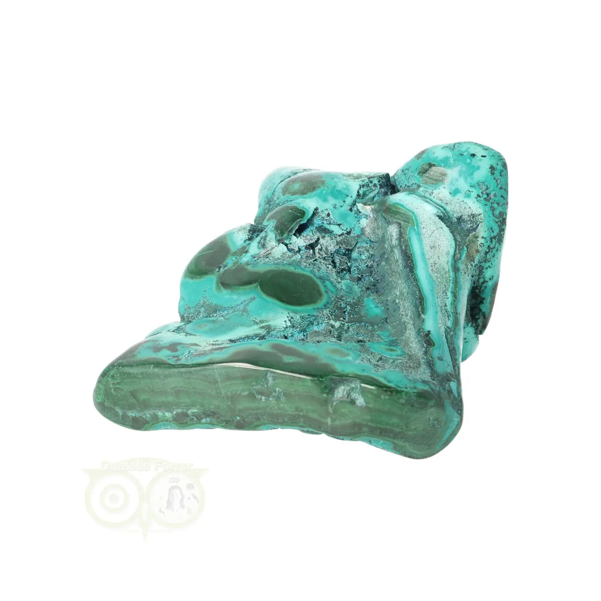 Malacholla free form Nr 23