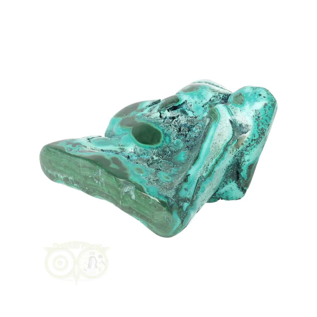 Malacholla free form Nr 23