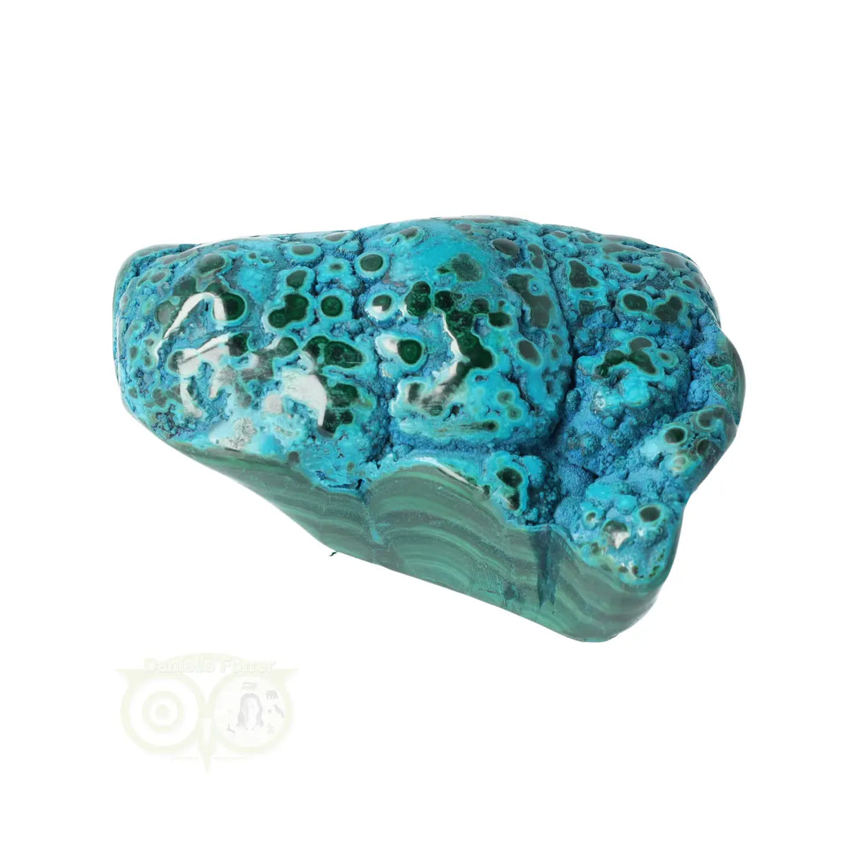 Malacholla free form Nr 6