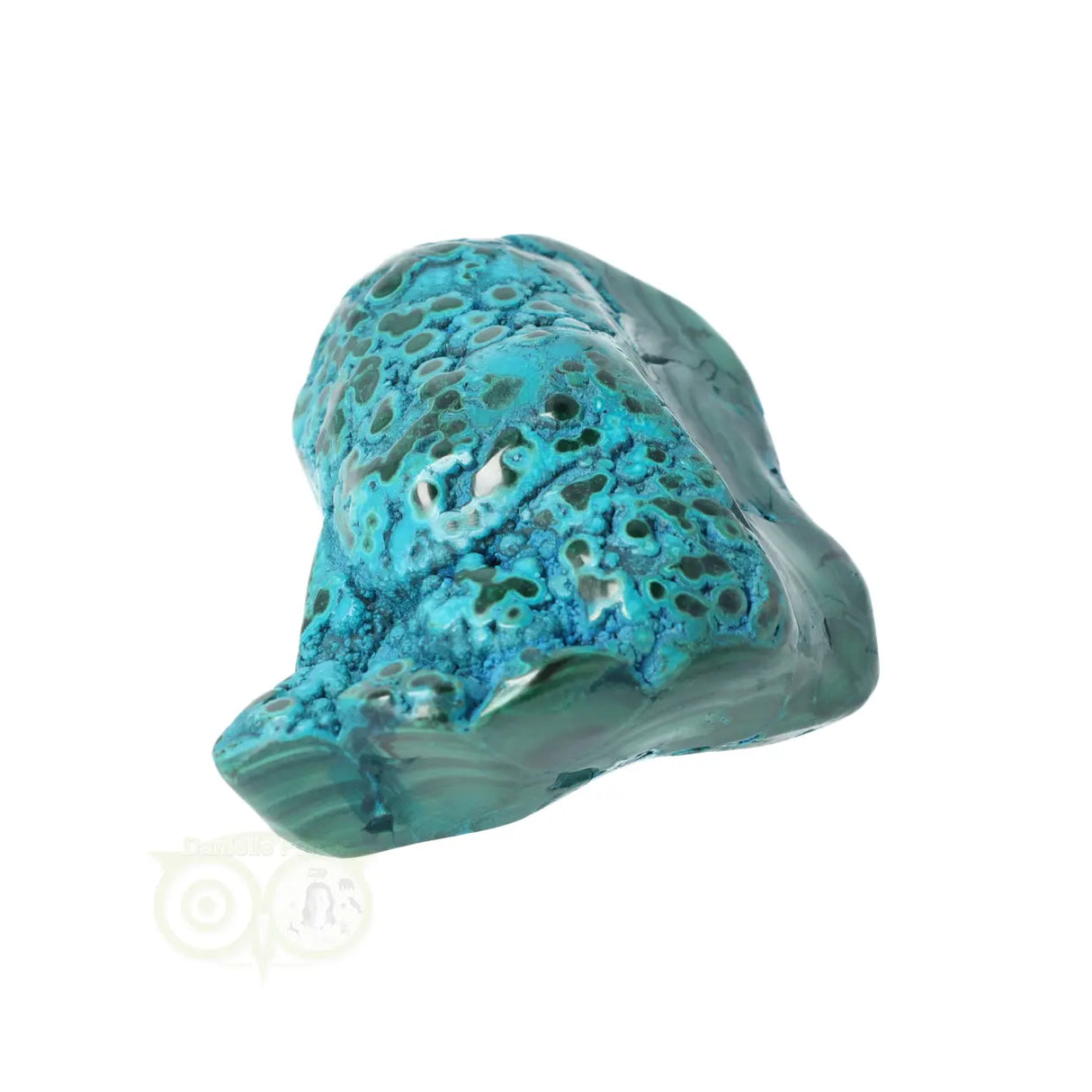 Malacholla free form Nr 6