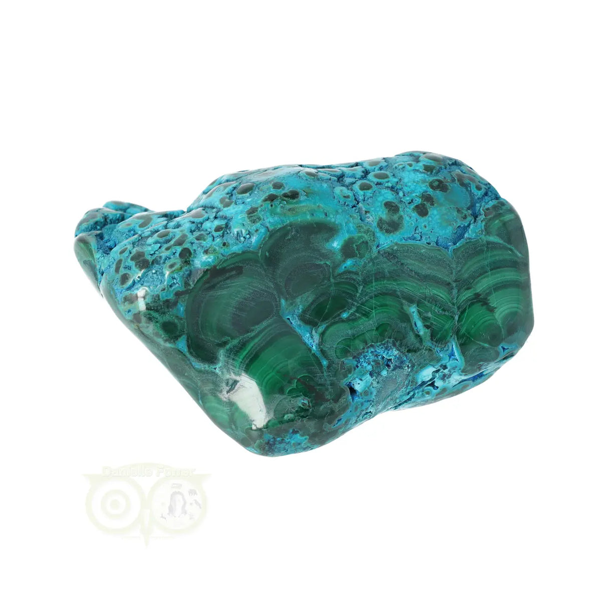 Malacholla free form Nr 6