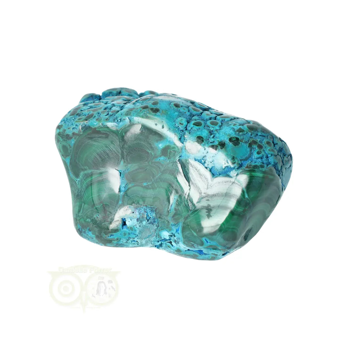 Malacholla free form Nr 6