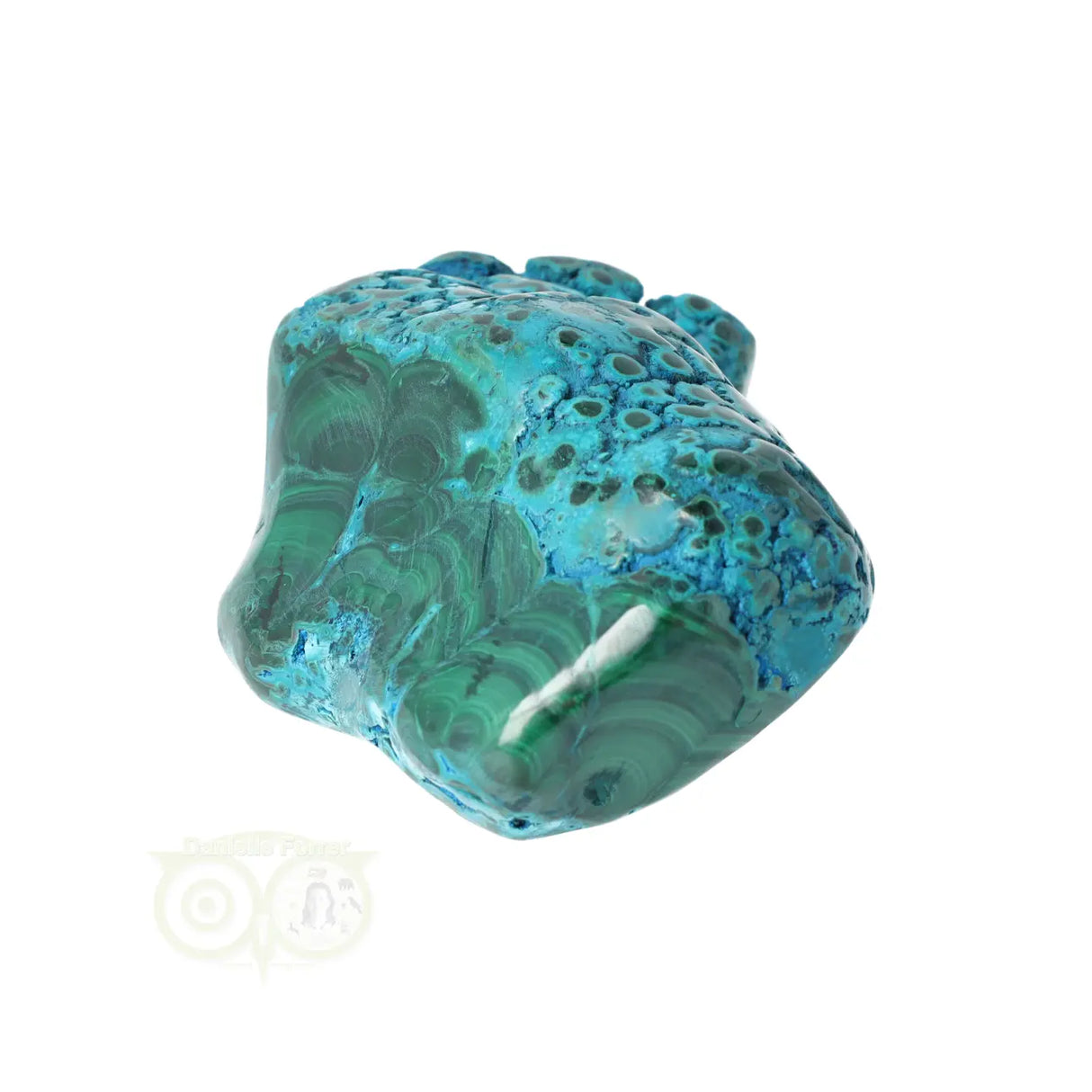 Malacholla free form Nr 6