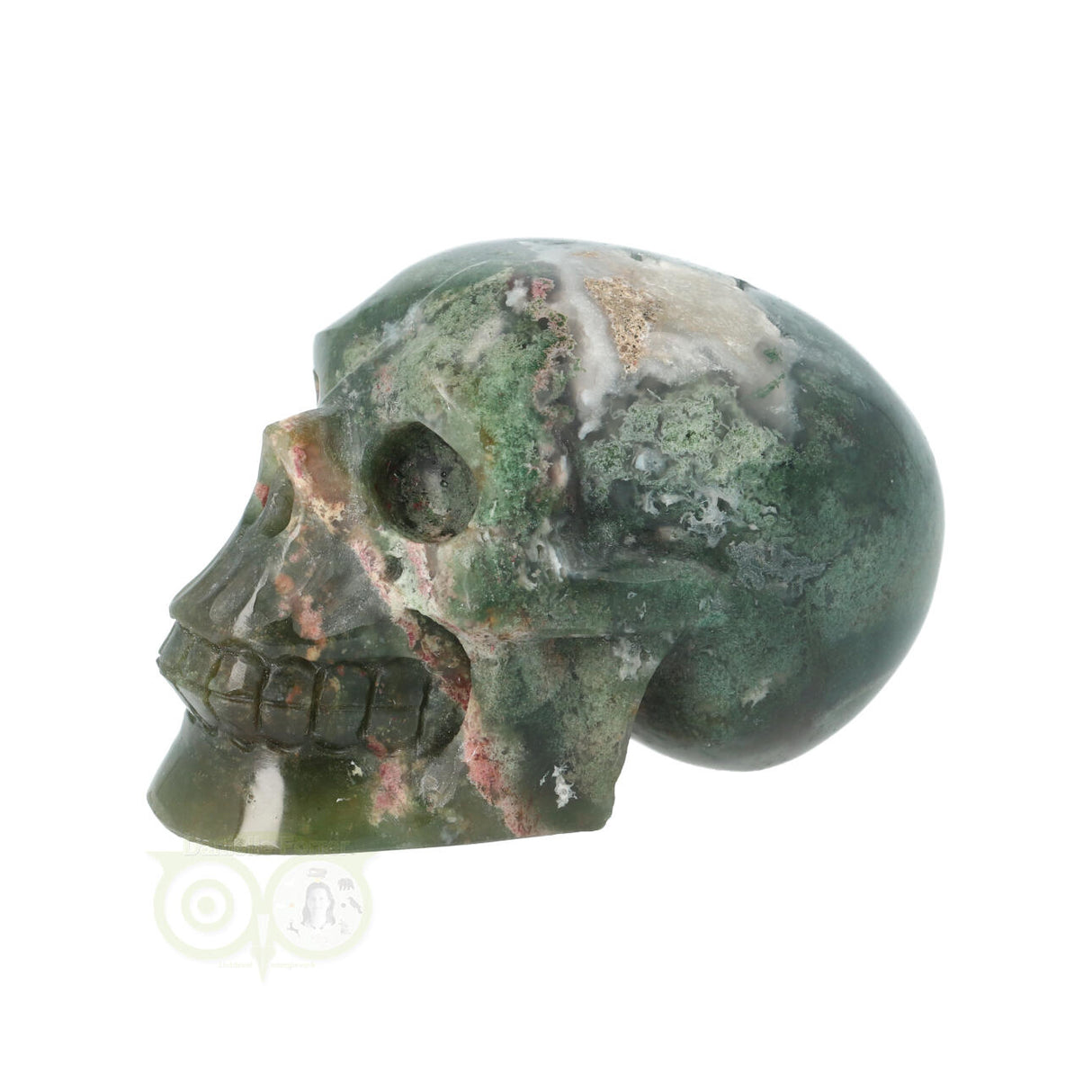 Mosagaat schedel 228 gram