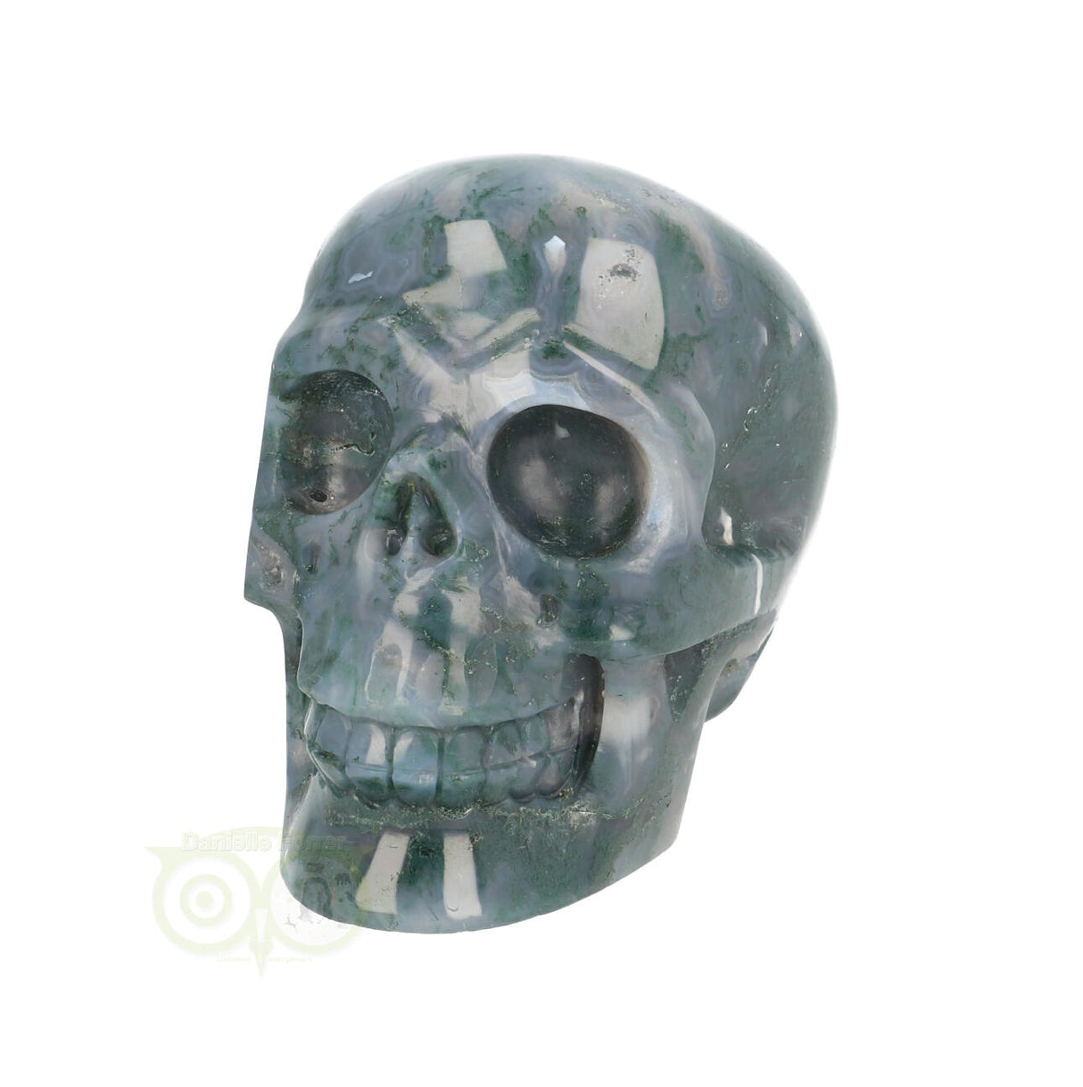 Mosagaat schedel 550 gram