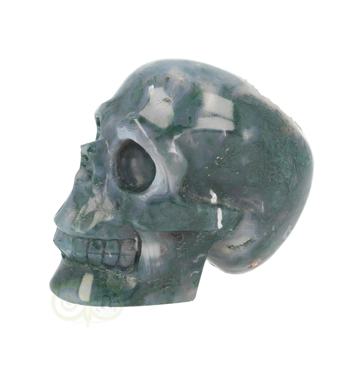 Mosagaat schedel 550 gram