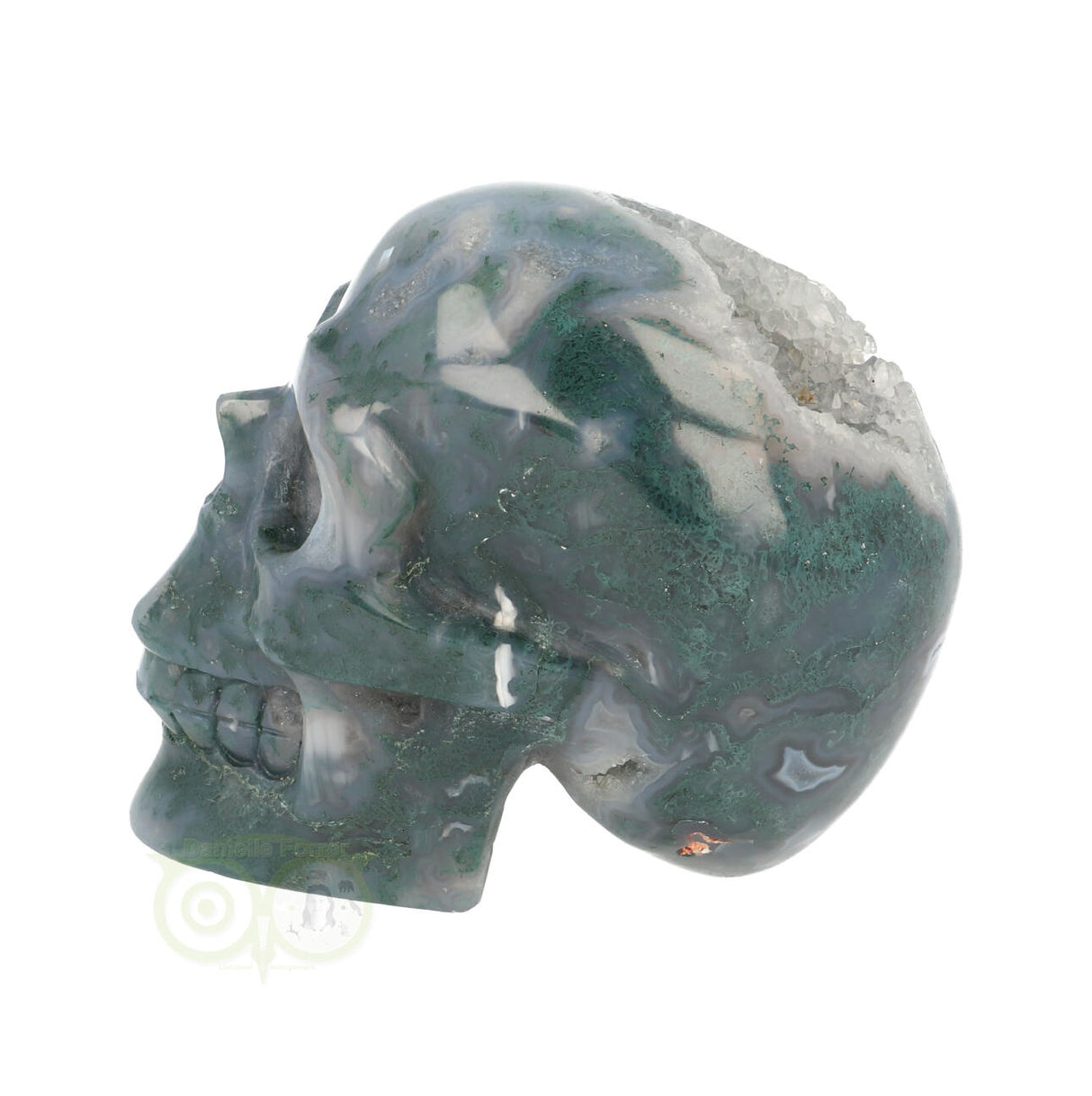 Mosagaat schedel 550 gram