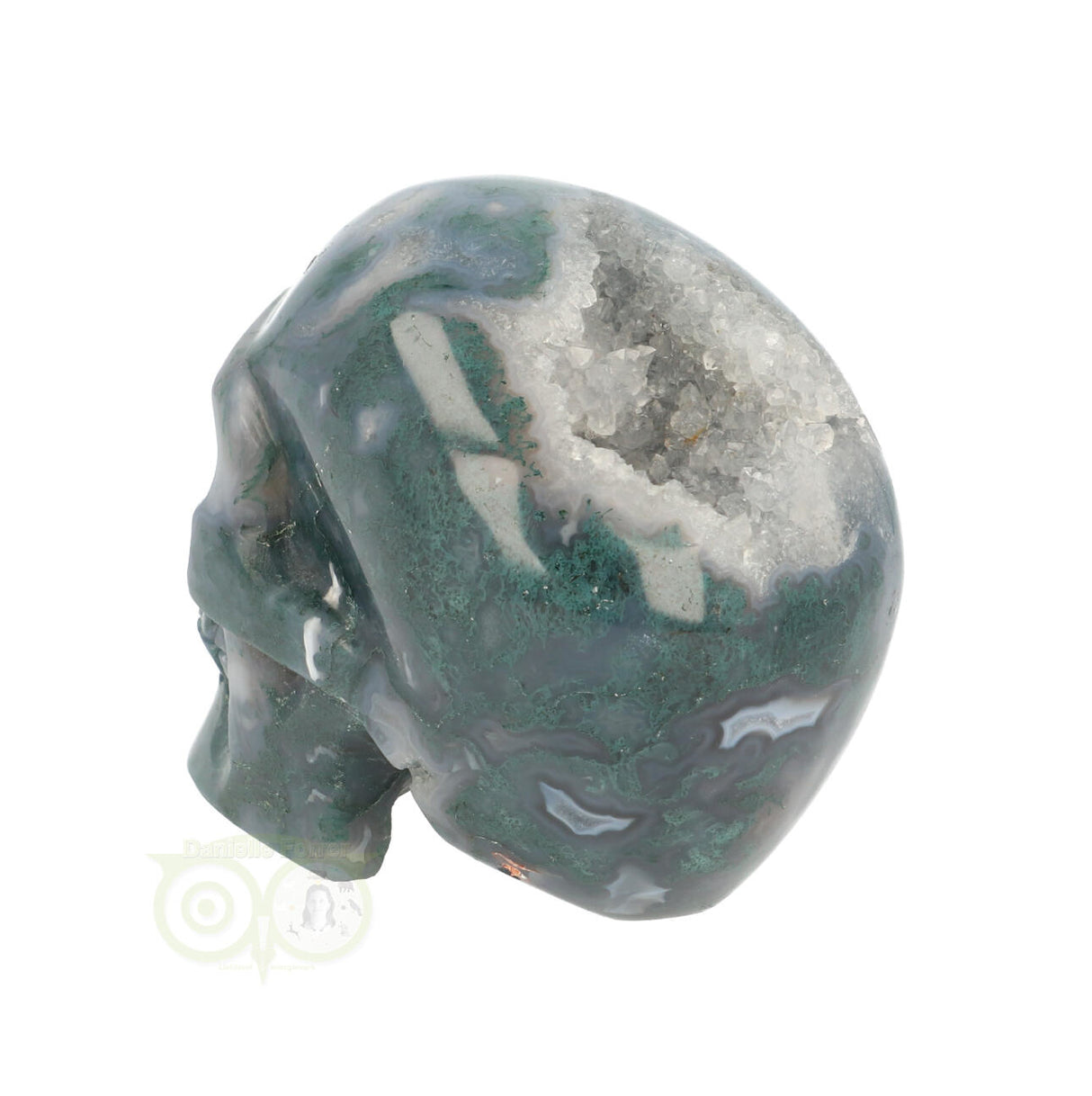 Mosagaat schedel 550 gram