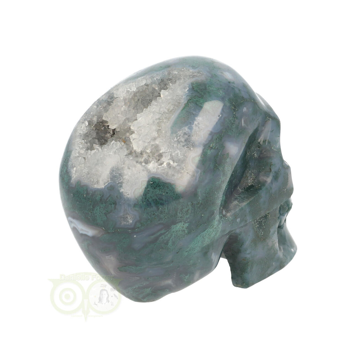 Mosagaat schedel 550 gram