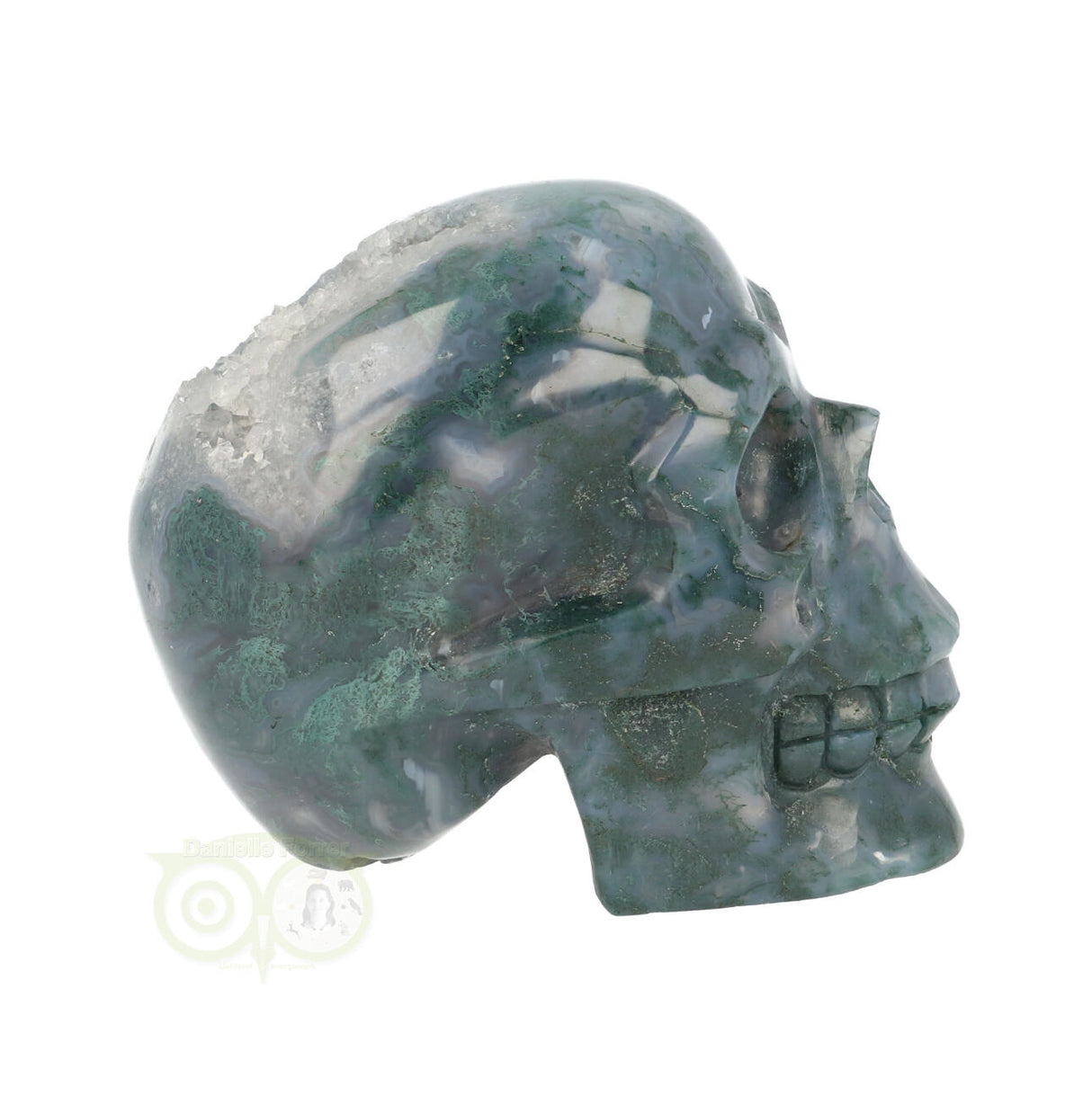 Mosagaat schedel 550 gram