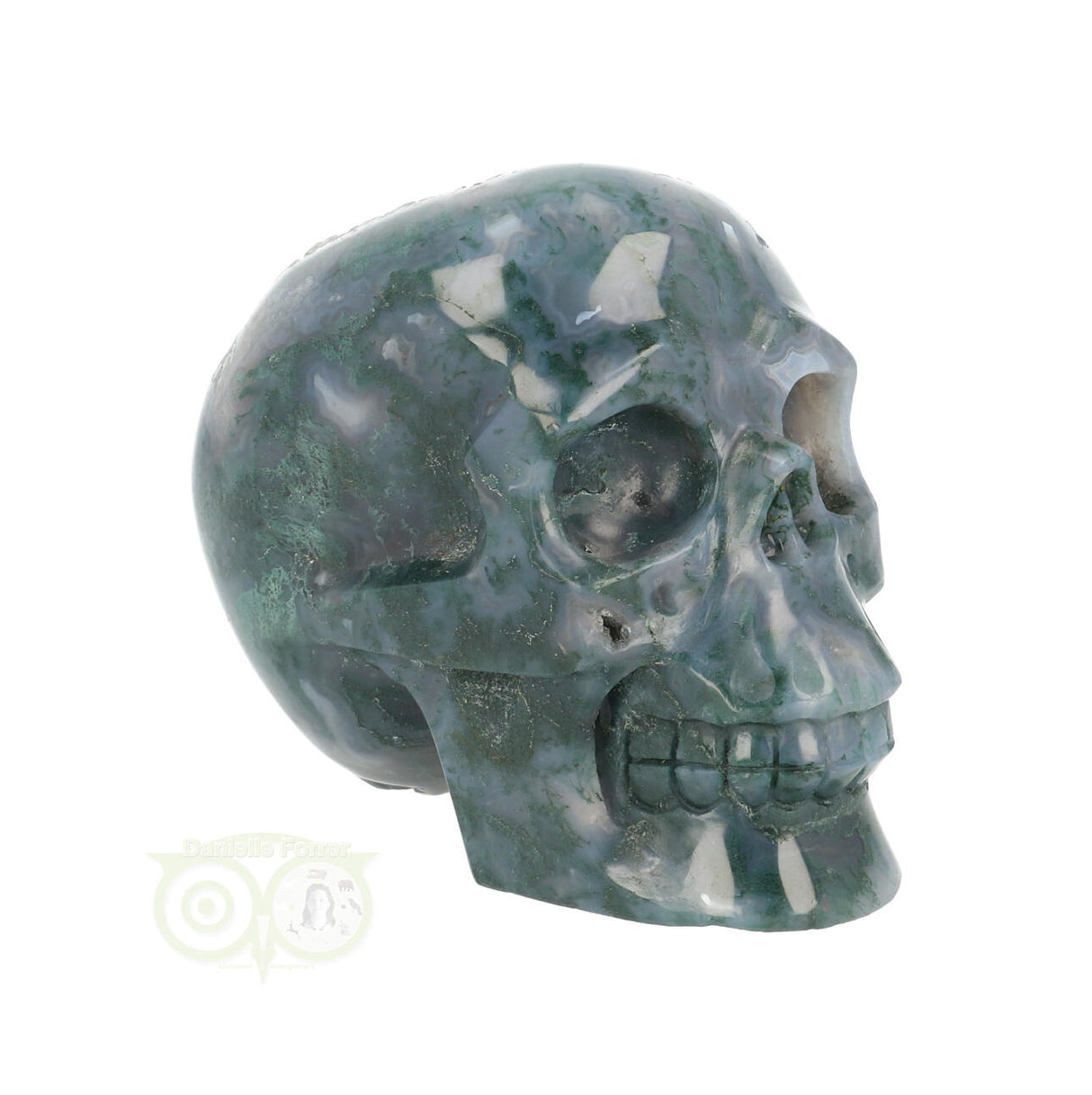 Mosagaat schedel 550 gram