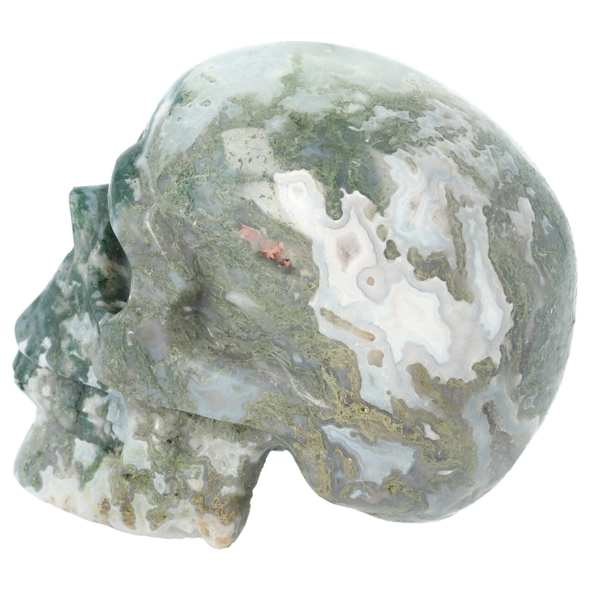 Mosagaat schedel 674 gram