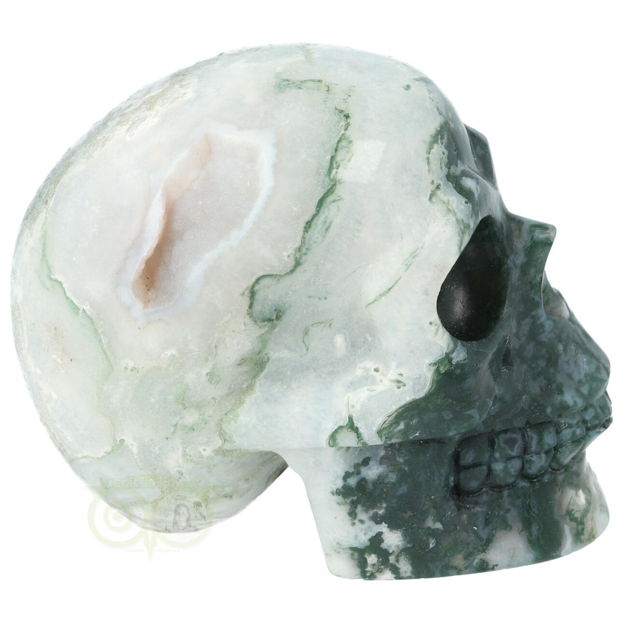 Mosagaat schedel 674 gram