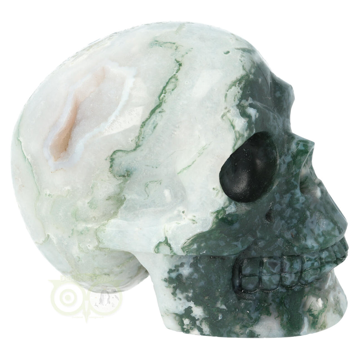 Mosagaat schedel 674 gram