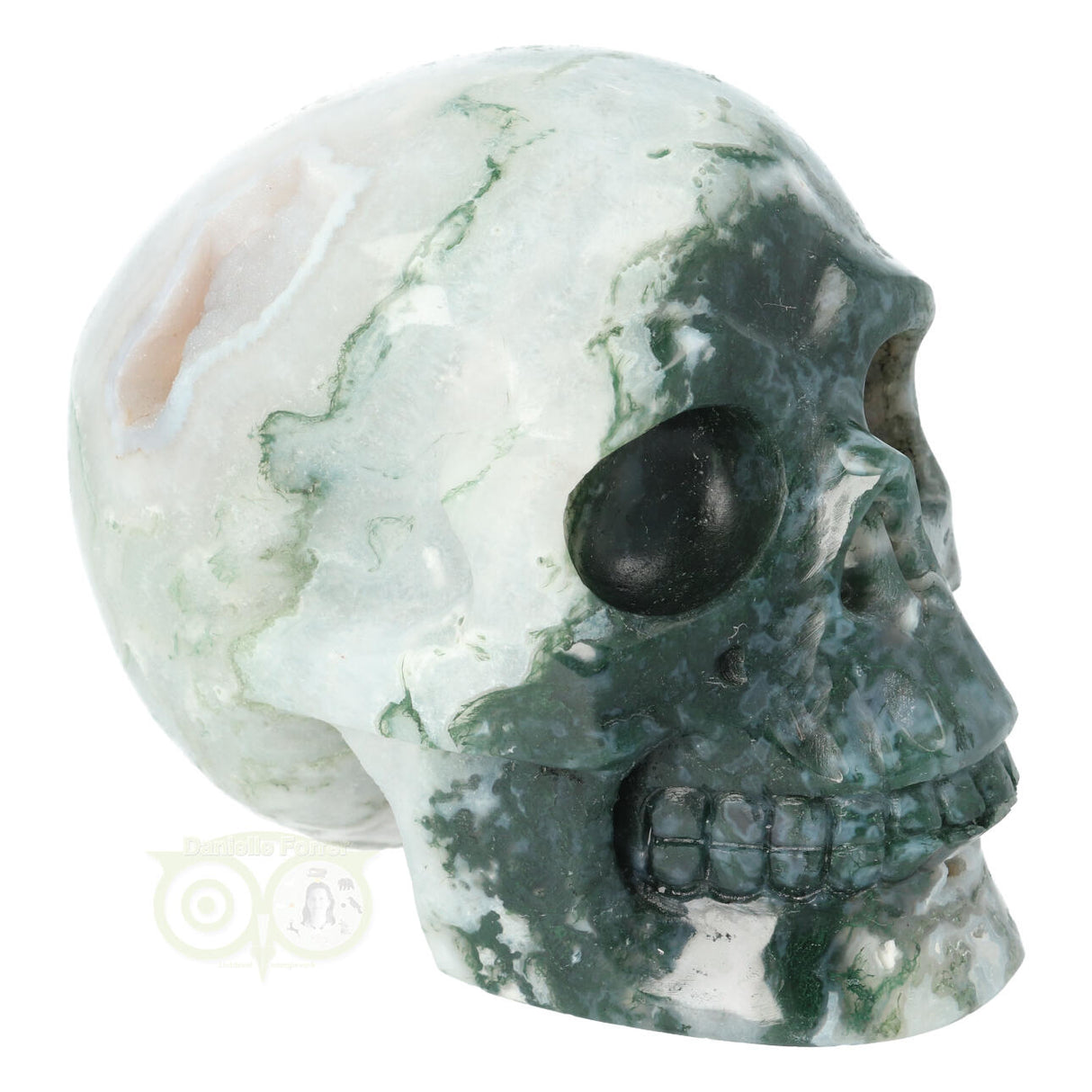 Mosagaat schedel 674 gram