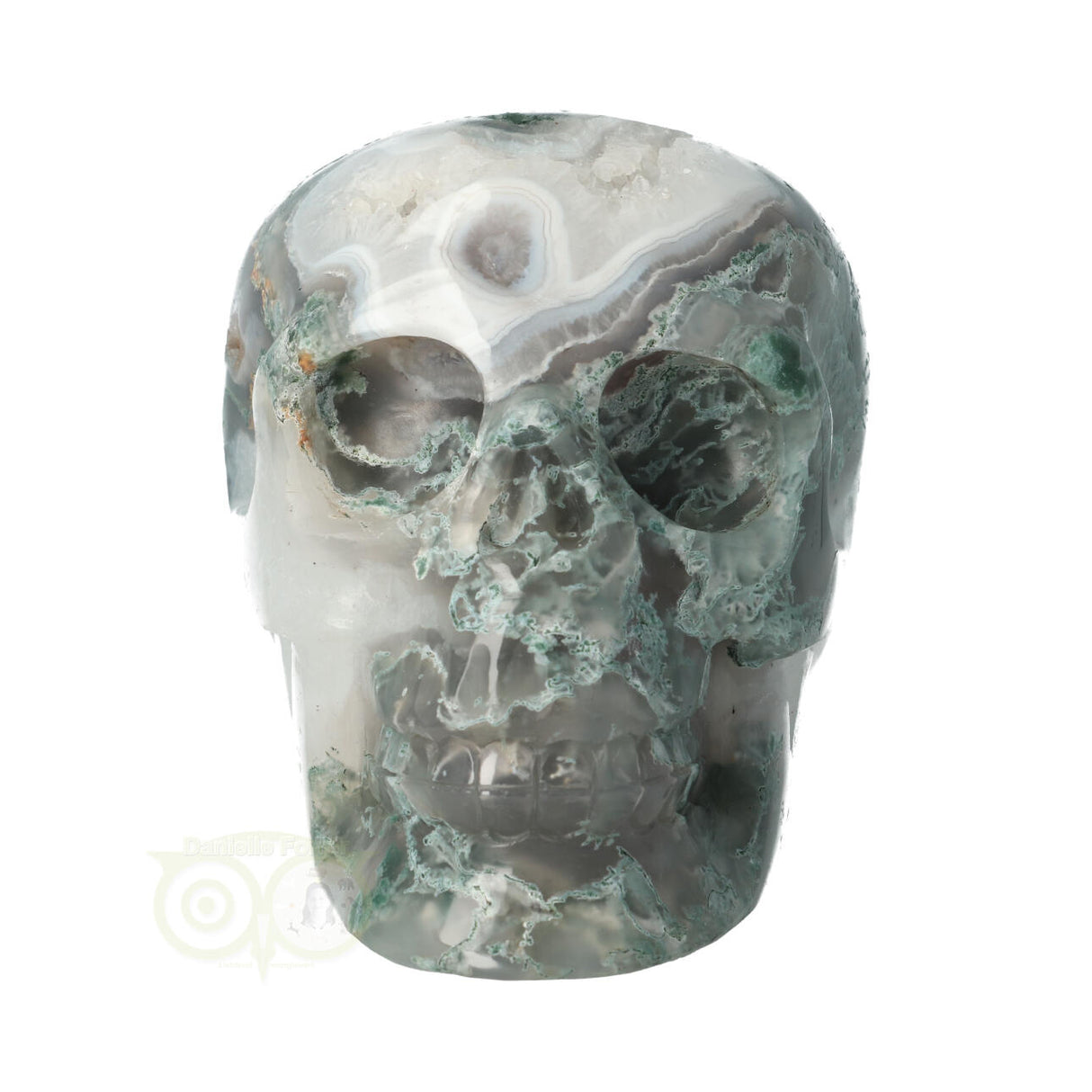 Mosagaat schedel 1050 gram