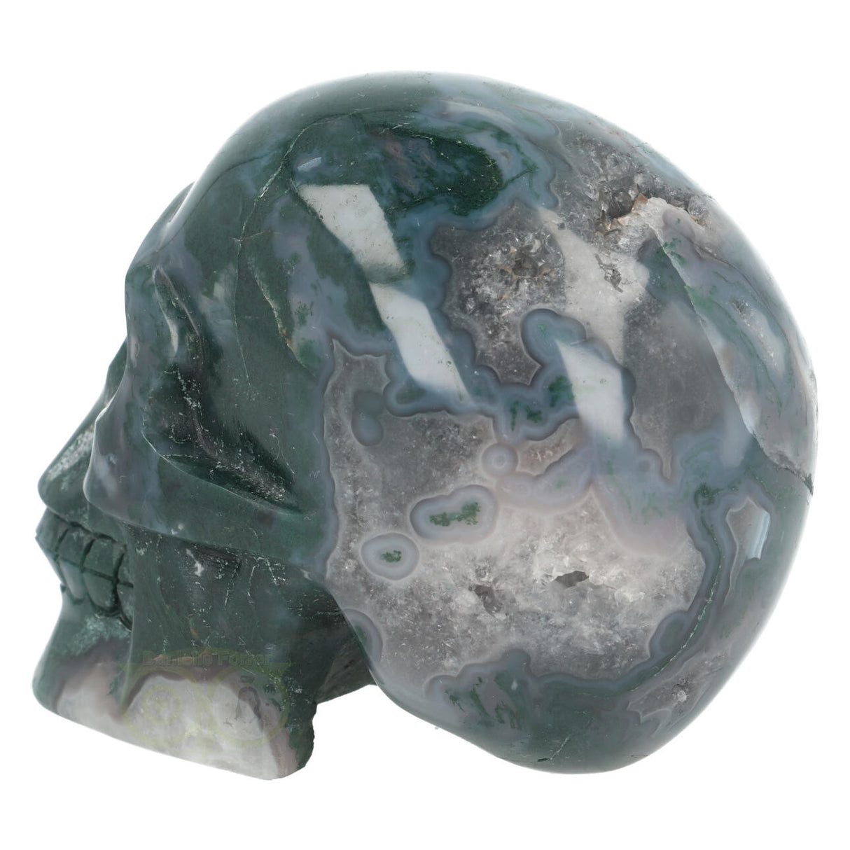 Mosagaat schedel 1337 gram