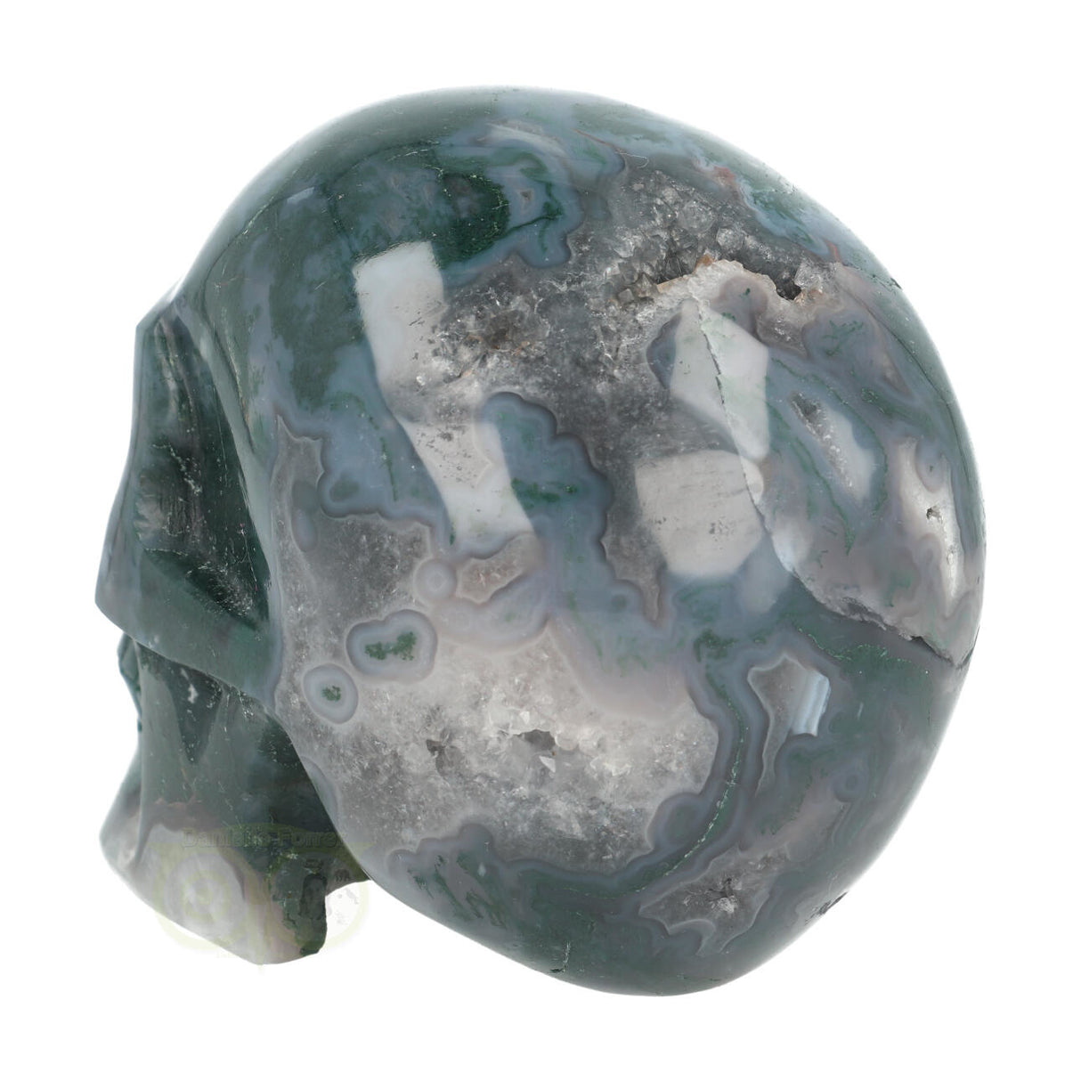 Mosagaat schedel 1337 gram