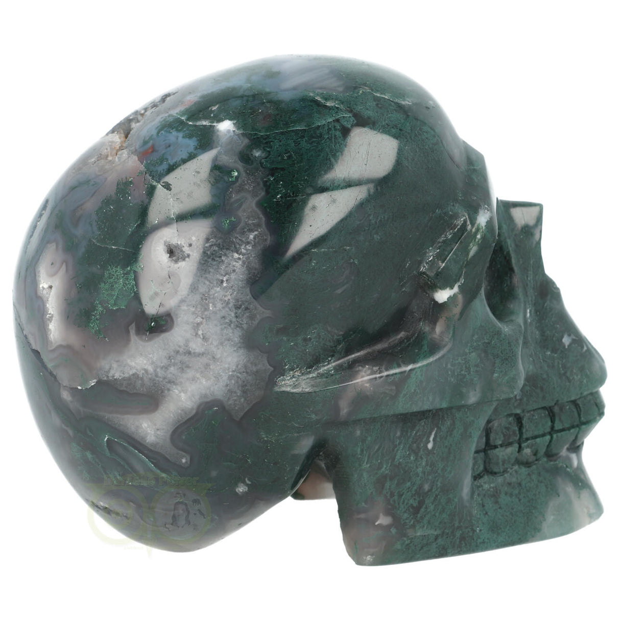 Mosagaat schedel 1337 gram