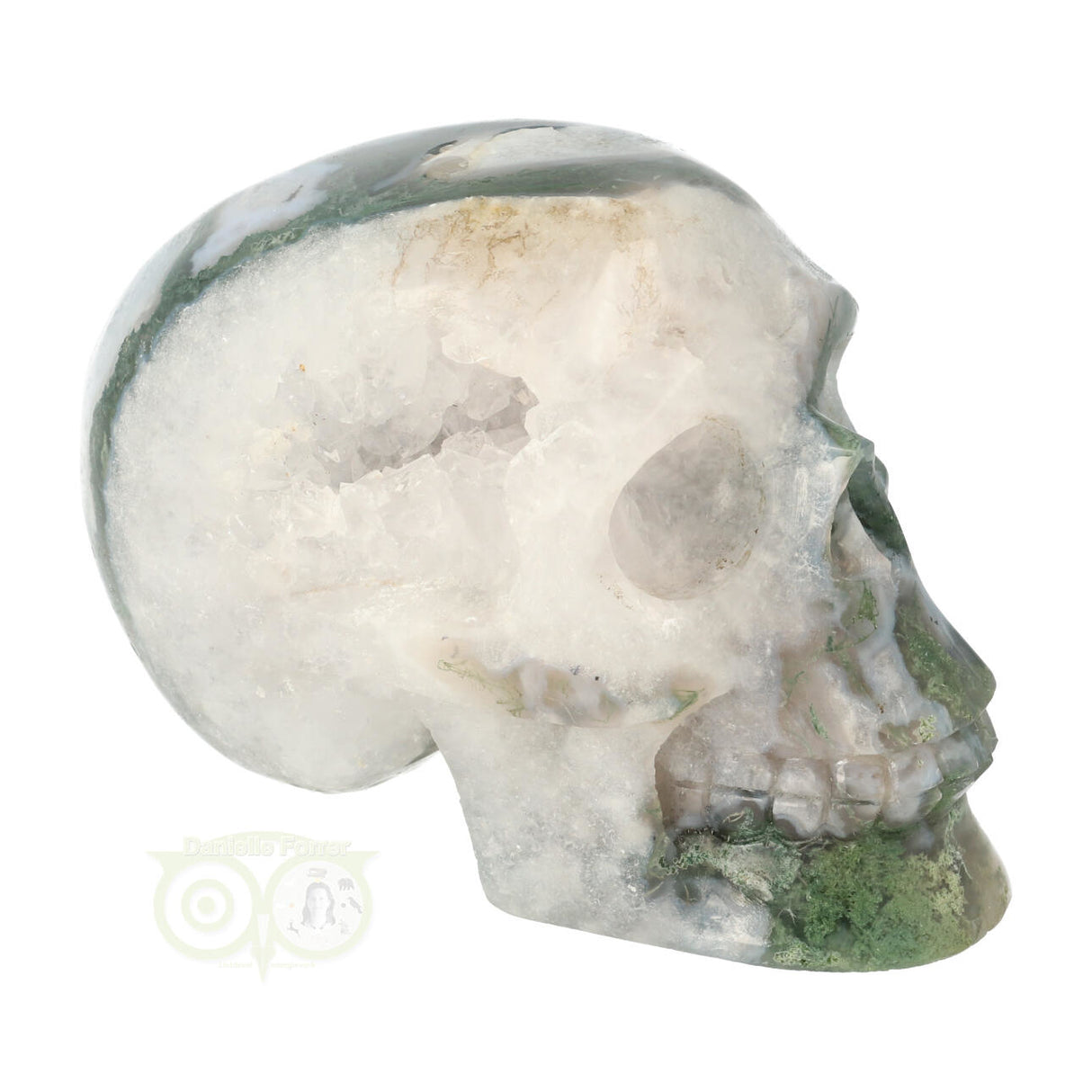 Mosagaat schedel 552 gram