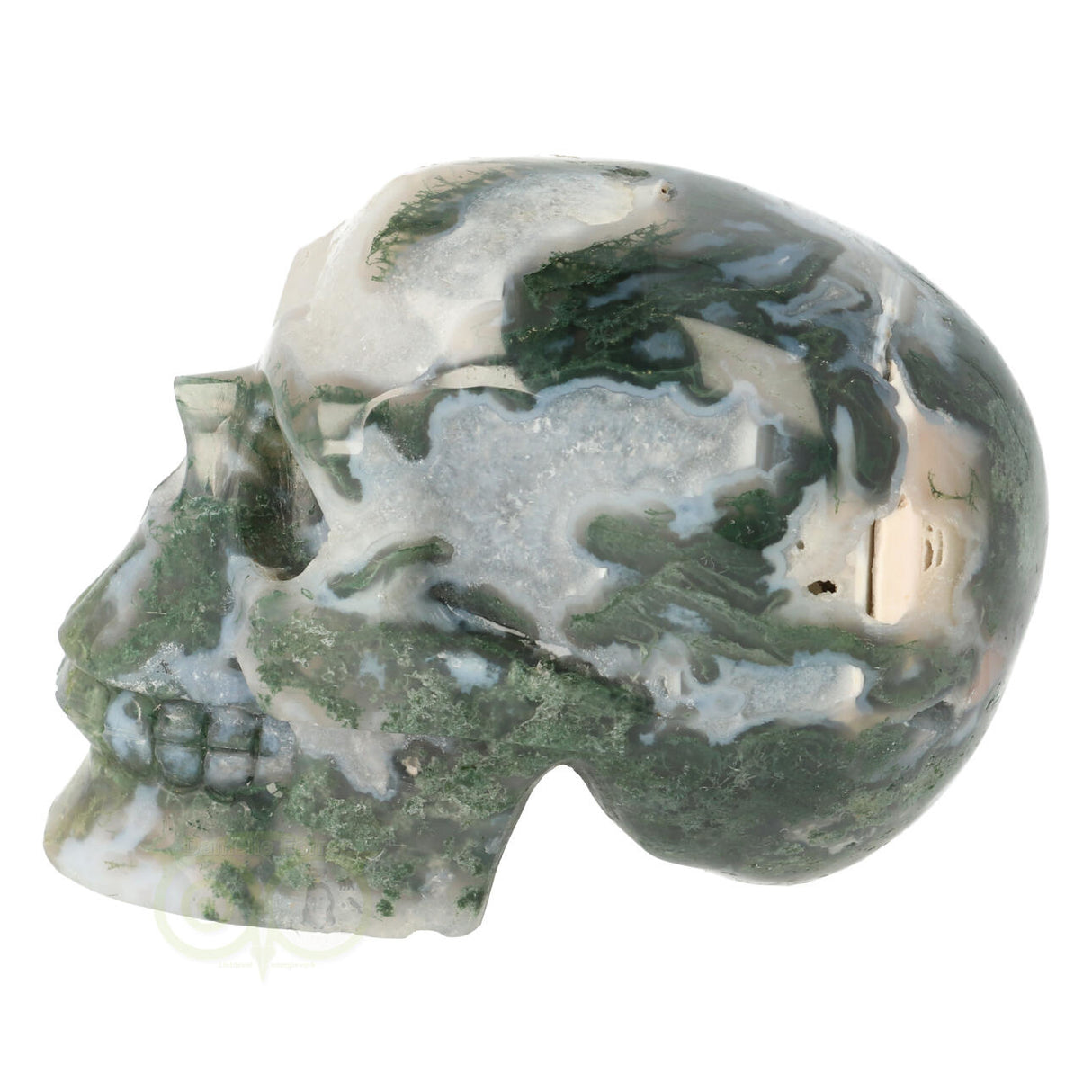 Mosagaat schedel 552 gram