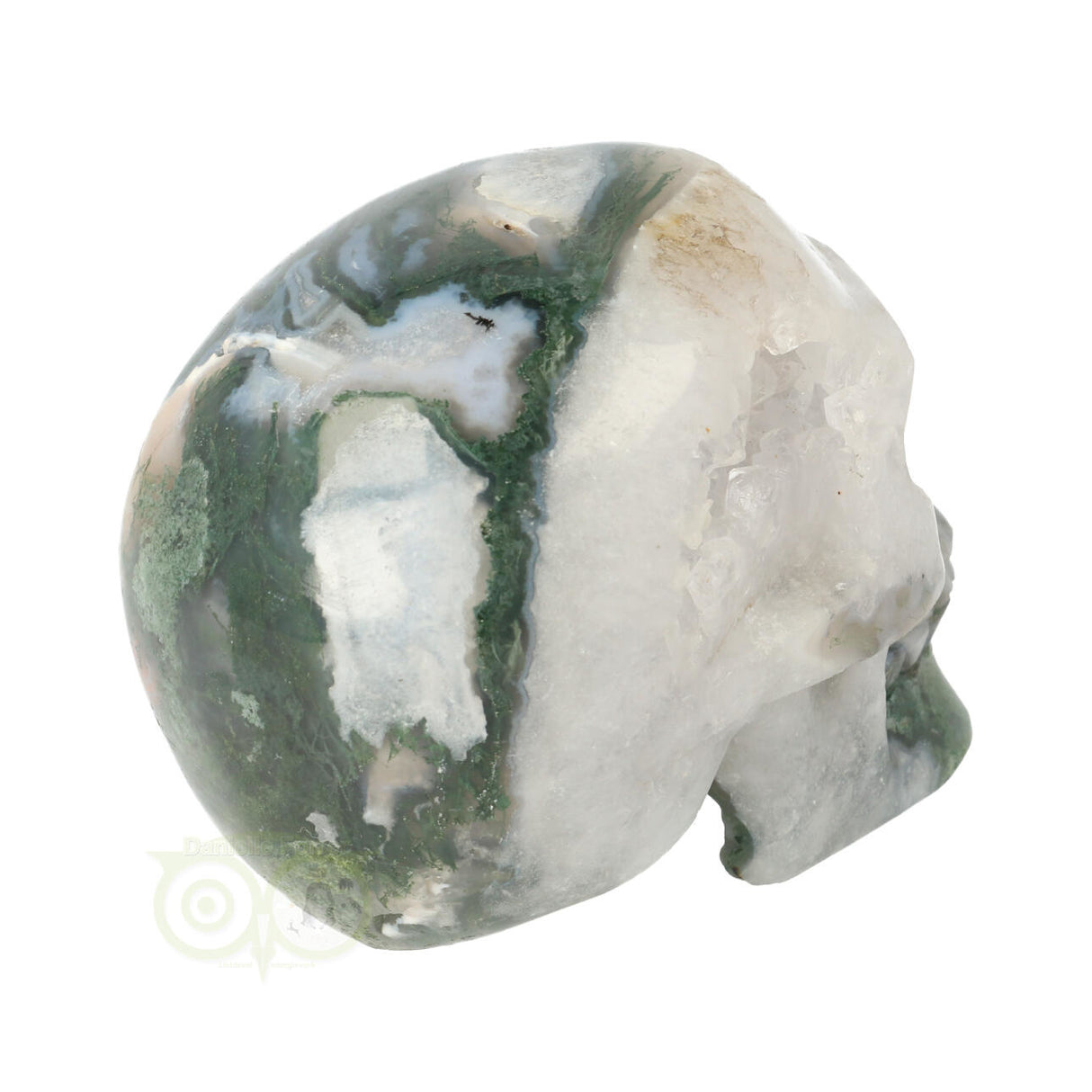 Mosagaat schedel 552 gram