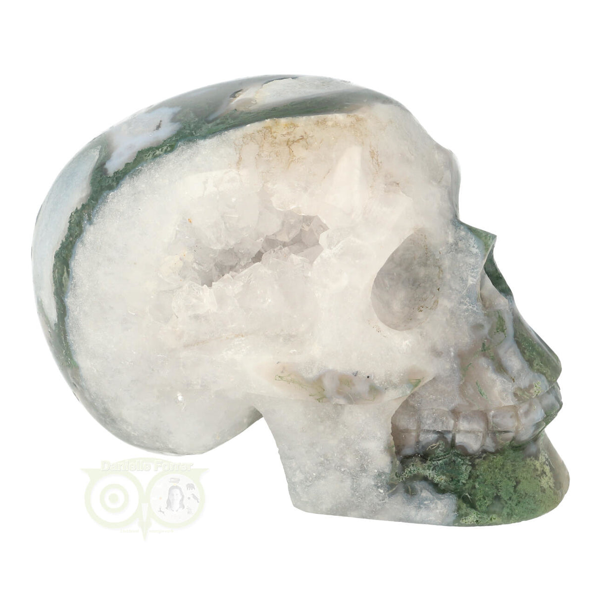 Mosagaat schedel 552 gram