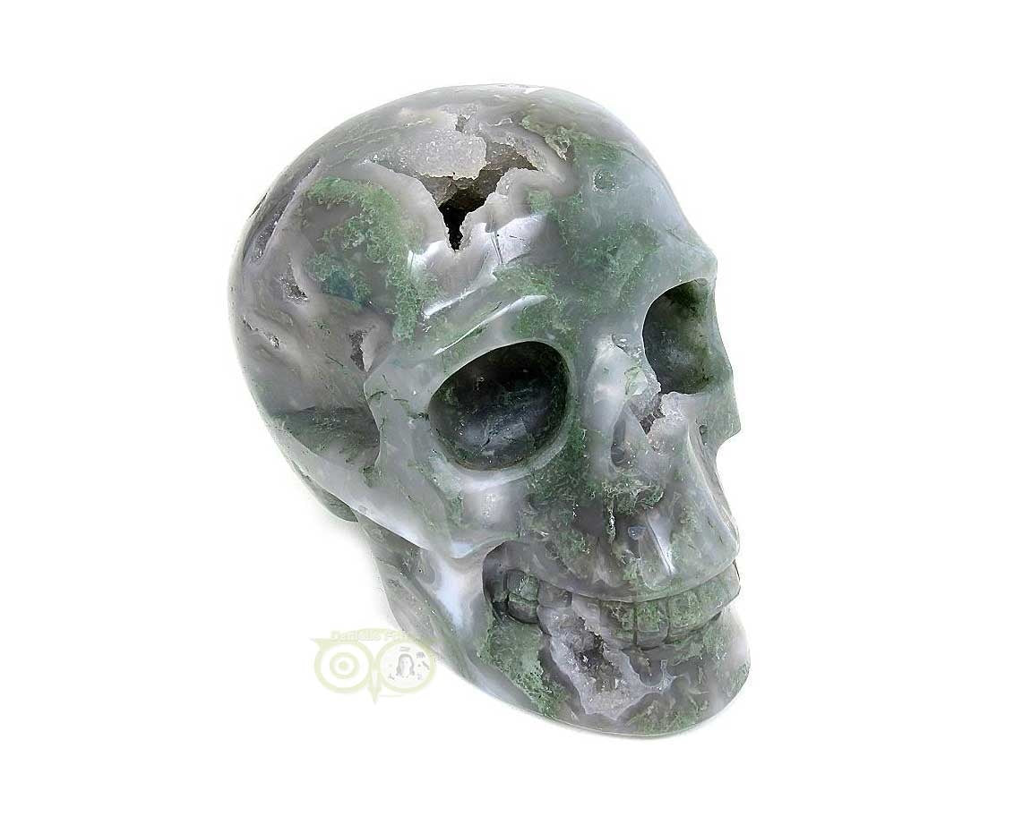 Moosachat-Schädel, 909 Gramm