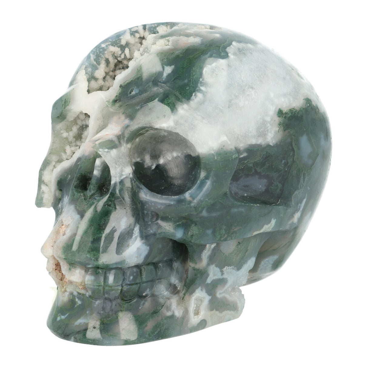 Mosagaat schedel 983 gram