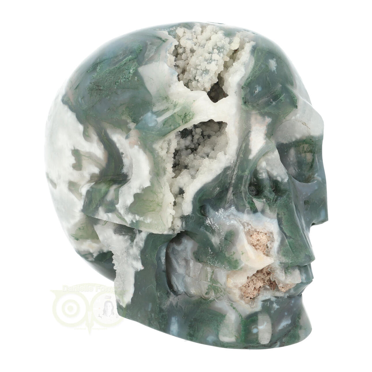 Mosagaat schedel 983 gram