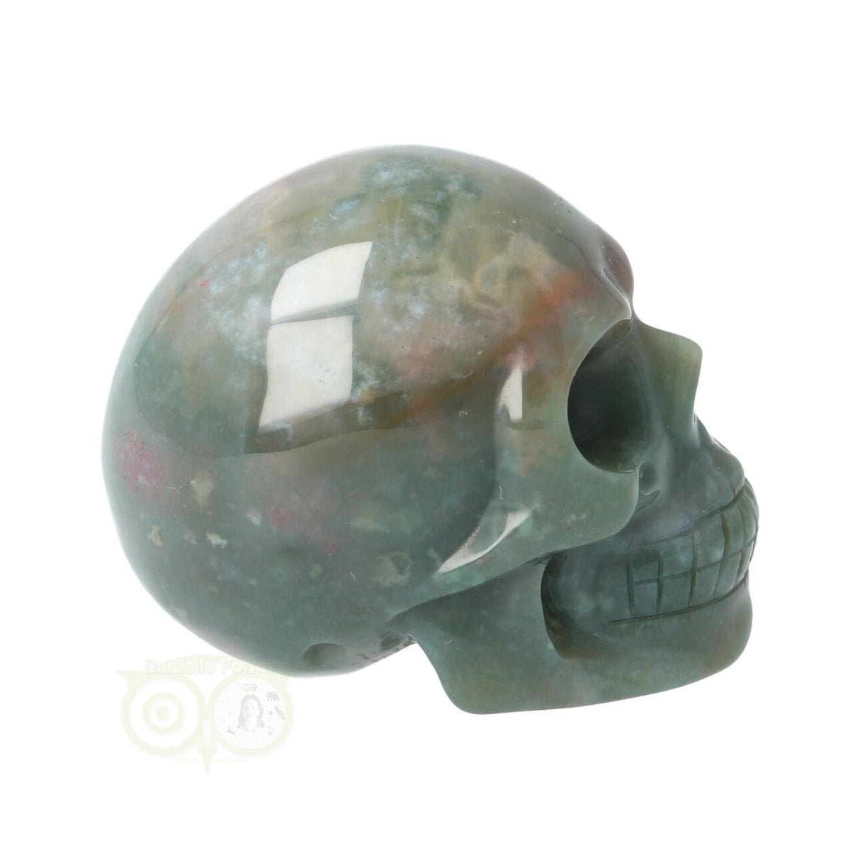 Mosagaat schedel Nr 14