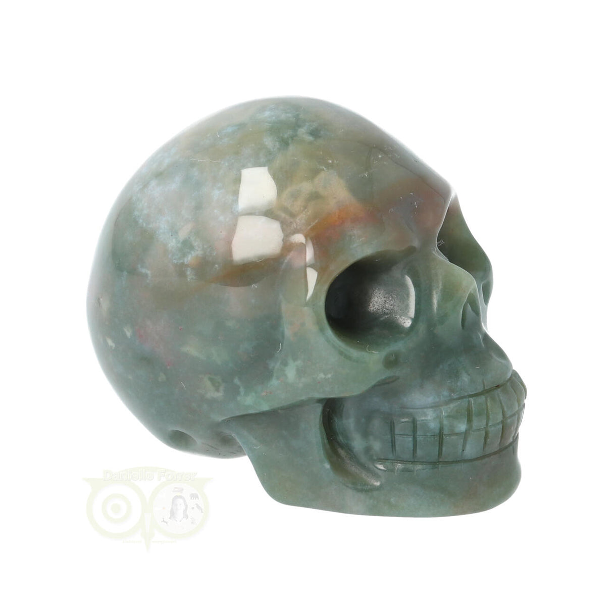 Mosagaat schedel Nr 14