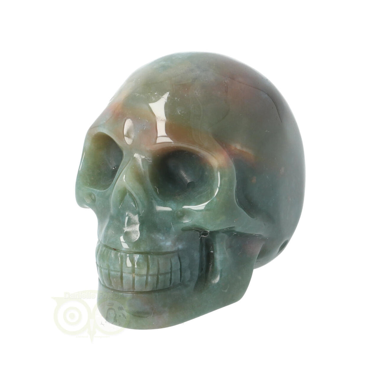 Mosagaat schedel Nr 14