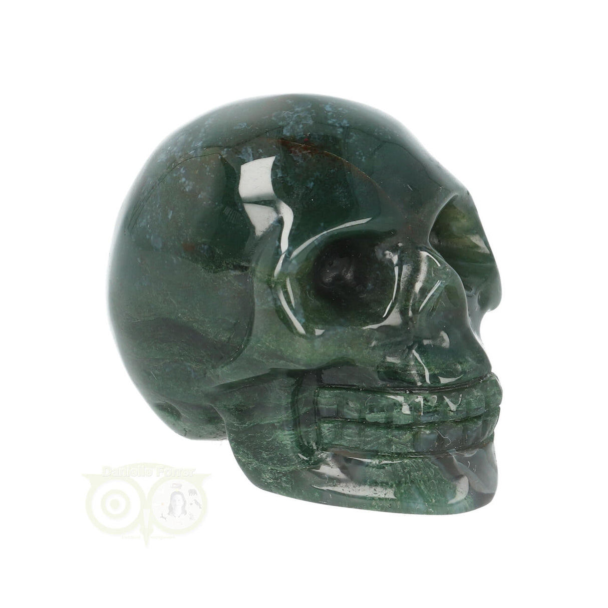 Mosagaat schedel Nr 19